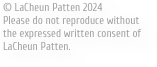 © LaCheun Patten 2024
Please do not reproduce without the expressed written consent of LaCheun Patten.